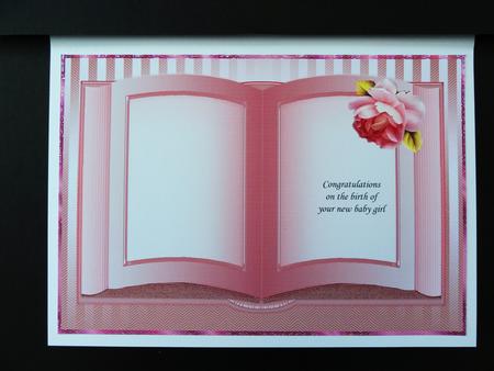 Insert Book Baby Girl by Valerie Spowart