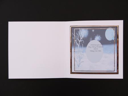 Christmas Gnomes Insert by Valerie Spowart