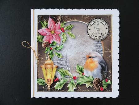 Pink Poinsettia & Robin Winter Scene by Valerie Spowart