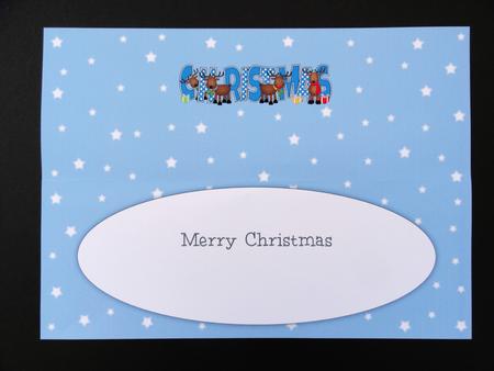 Rudolf & Friends Christmas Large Dl Insert by Valerie Spowart