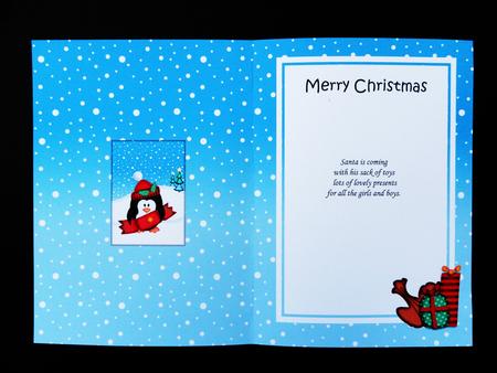 Christmas Little Penguin 5x7 Matching Insert by Valerie Spowart