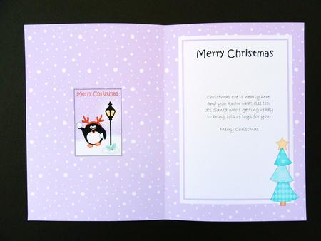 Christmas Cute Little Penguin Lamp Post 5x7 Matching Insert by Valerie Spowart
