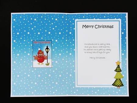 Christmas Cute Little Penguin Lamp Post 5x7 Matching Insert by Valerie Spowart