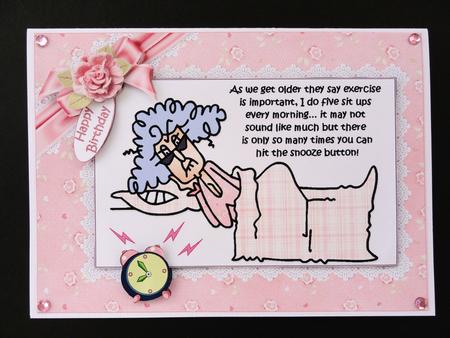 Stella and Her Daily Exercise Quick Card by Valerie Spowart