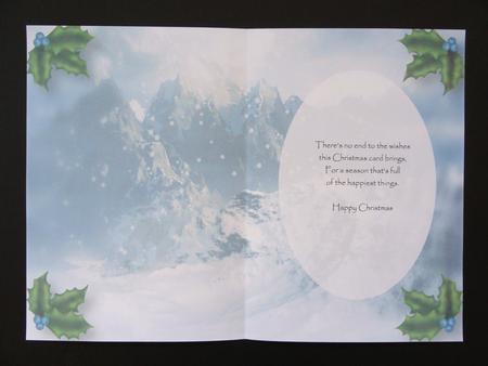 Ice Blue Poinsettias on Golden Frame - Insert by Valerie Spowart
