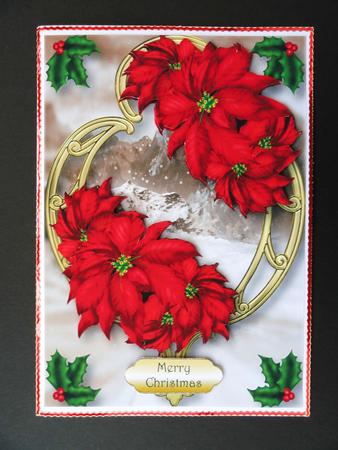 Red Poinsettias on Golden Frame by Valerie Spowart