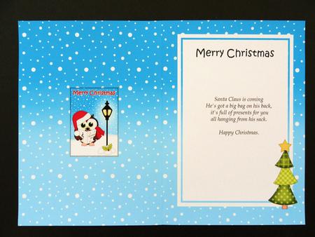 Christmas Little Hoot Owl Lamp Post 5x7 Matching Insert by Valerie Spowart