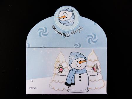 Chilly with Robins Christmas Money Wallet by Valerie Spowart