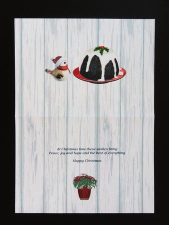 A Christmas Treat! Insert by Valerie Spowart