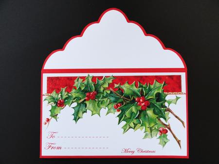 Holly Money Wallet by Valerie Spowart