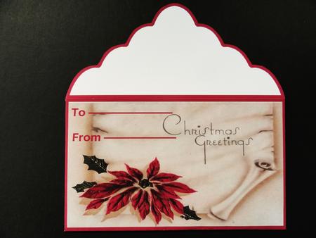 Poinsettia Money Wallet by Valerie Spowart