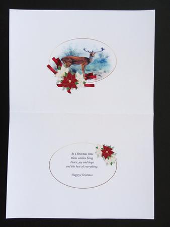 The Majestic Reindeer Pyramid Insert by Valerie Spowart
