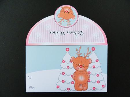 Rudolf Barclay Pink Christmas Money Wallet by Valerie Spowart