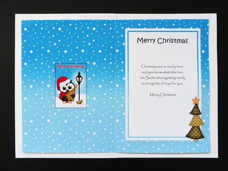 5x7 Christmas Little Hoot Owl Lamp Post Insert by Valerie Spowart
