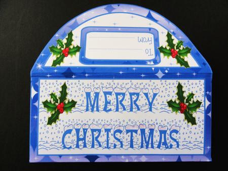 Money Wallet - Christmas with Holly (blue) by Valerie Spowart