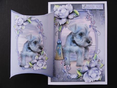 Paddling Paws by Valerie Spowart