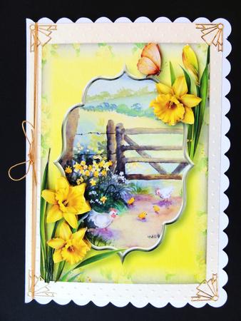 Fabulous Spring Daffodils & Chickens by Valerie Spowart