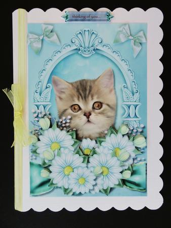 Cute Kitten by Valerie Spowart