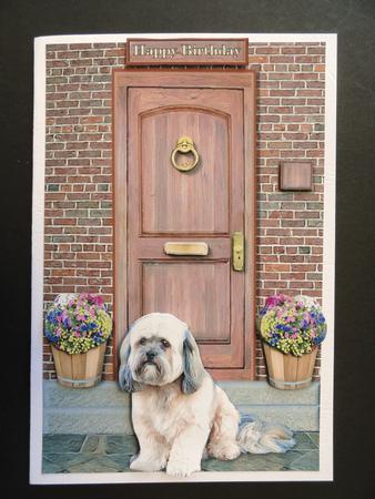 Lhasa Apso Door Step Scene by Valerie Spowart