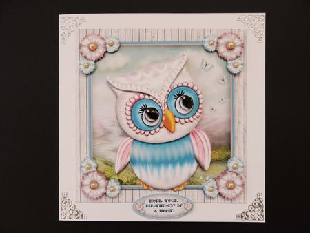 Hoot by Valerie Spowart