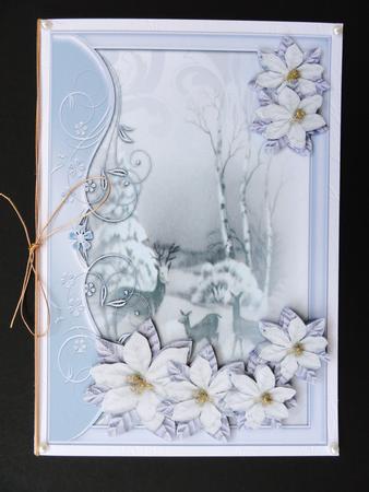 Winterview & Poinsettias by Valerie Spowart