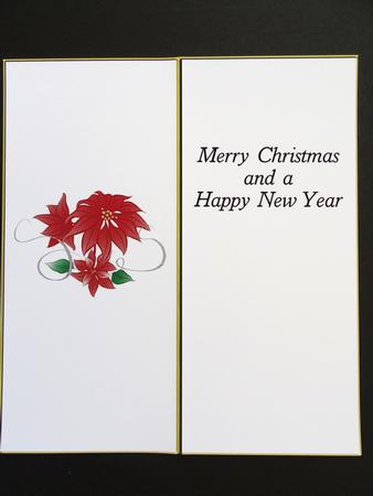 Dl Insert - Christmas 6 by Valerie Spowart