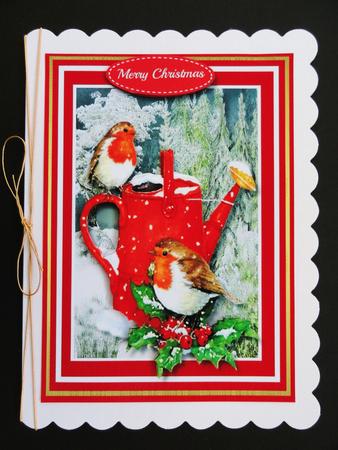 Beautiful Christmas Robins on the Watering Can by Valerie Spowart