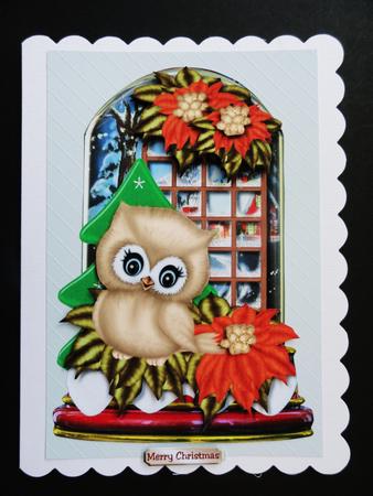 Christmas Globe Owl & Poinsettias by Valerie Spowart