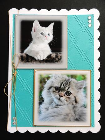 Cute Kitten Toppers by Valerie Spowart