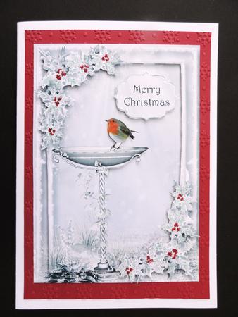 The Silver Robin A5 by Valerie Spowart