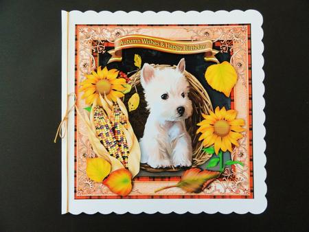 Autumn Wishes Happy Birthday 8x8 Cf by Valerie Spowart