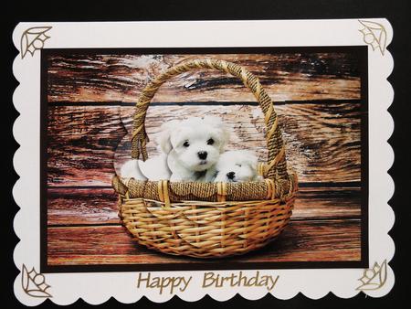Cute Puppies in Basket Scalloped Pyramid by Valerie Spowart