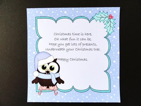 8 x 8 Christmas Sledging Little Hoot Owl Insert by Valerie Spowart