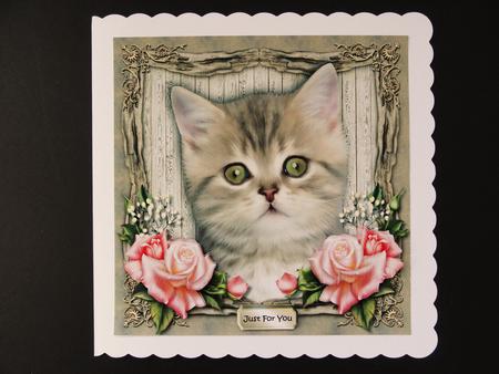 Cute Kitten 1 by Valerie Spowart