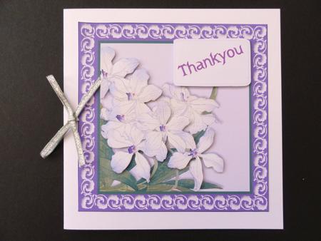 Flowers for Any Occasion by Valerie Spowart