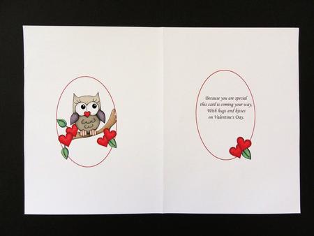 Owl Be Your Valentine Insert by Valerie Spowart