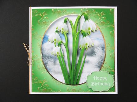 The Snowdrops by Valerie Spowart