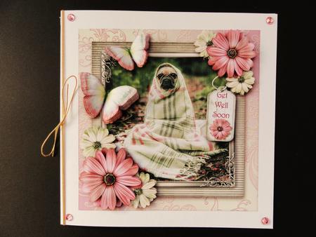 The Poorly Pooch by Valerie Spowart