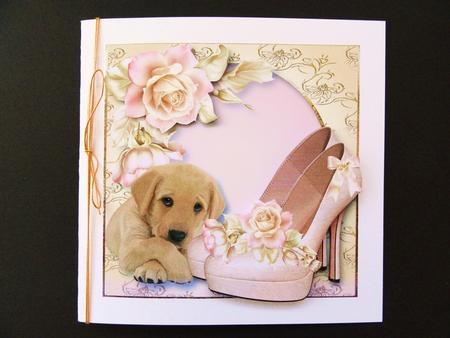 Shoes & Puppy - Pale Pink Roses by Valerie Spowart
