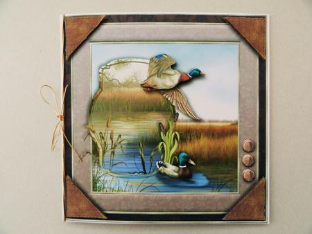 8x8 Mallard Ducks Card Topper by Valerie Spowart