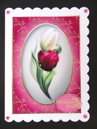 White & Magenta Tulips by Valerie Spowart