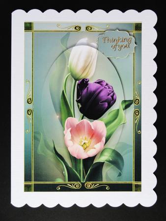 Bring Me Tulips A5 by Valerie Spowart