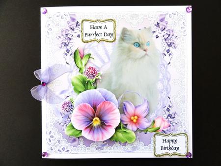 Cat in the Pansies by Valerie Spowart
