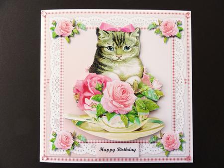 A Purrrfect Birthday Mini Kit by Valerie Spowart
