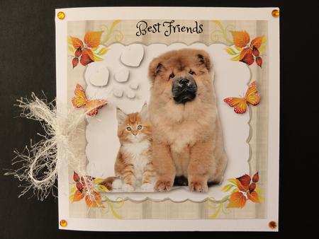 Best Friends Birthday Mini Kit by Valerie Spowart