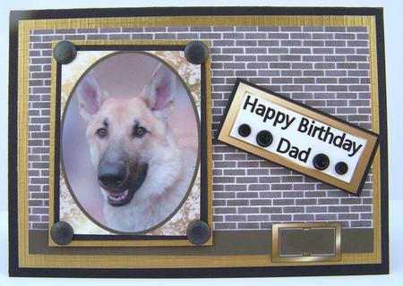 Handsome Dog by Valerie Swinglehurst
