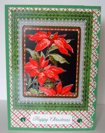 A4 Poinsettia by Valerie Swinglehurst