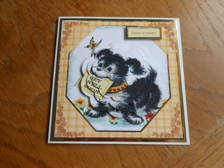 Doggy Get Well Greetings Card Front with Petal Pyramid by Verona Davies