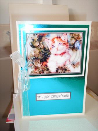Christmas Look at Me by Vi Armitage