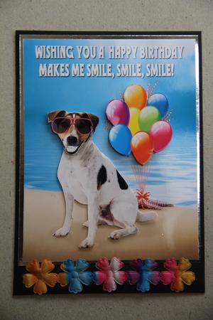 Dog Birthday Card with Lots of Fun by Vicki Clark